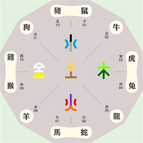 硨磲五行|沣字的五行属性